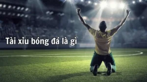 Bí Quyết Cách Chơi Kèo Tài Xỉu Bóng Đá Tại BongDaLu Bất Bại Mọi Trận