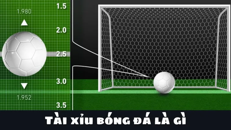 Bí Quyết Cách Chơi Kèo Tài Xỉu Bóng Đá Tại BongDaLu Bất Bại Mọi Trận