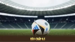 Hướng Dẫn Chơi Kèo Chấp 0.5 Tại BongDaLu Dễ Hiểu Nhất 2026