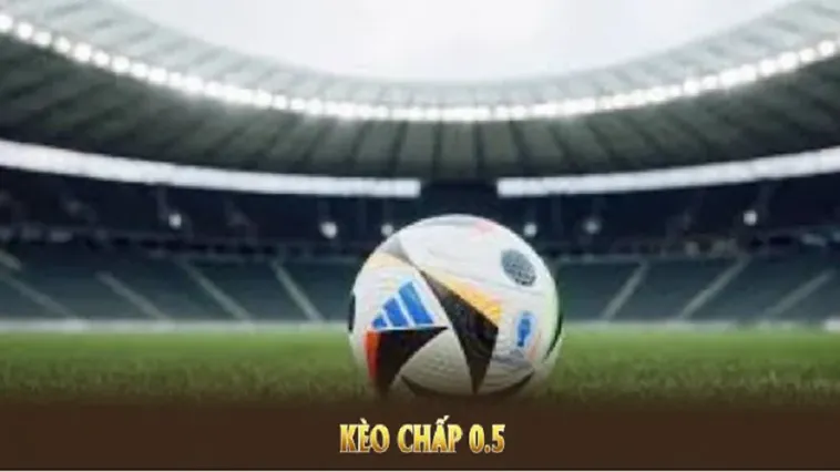 Hướng Dẫn Chơi Kèo Chấp 0.5 Tại BongDaLu Dễ Hiểu Nhất 2026