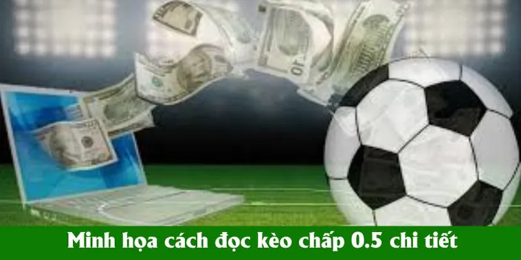 Hướng Dẫn Chơi Kèo Chấp 0.5 Tại BongDaLu Dễ Hiểu Nhất 2026