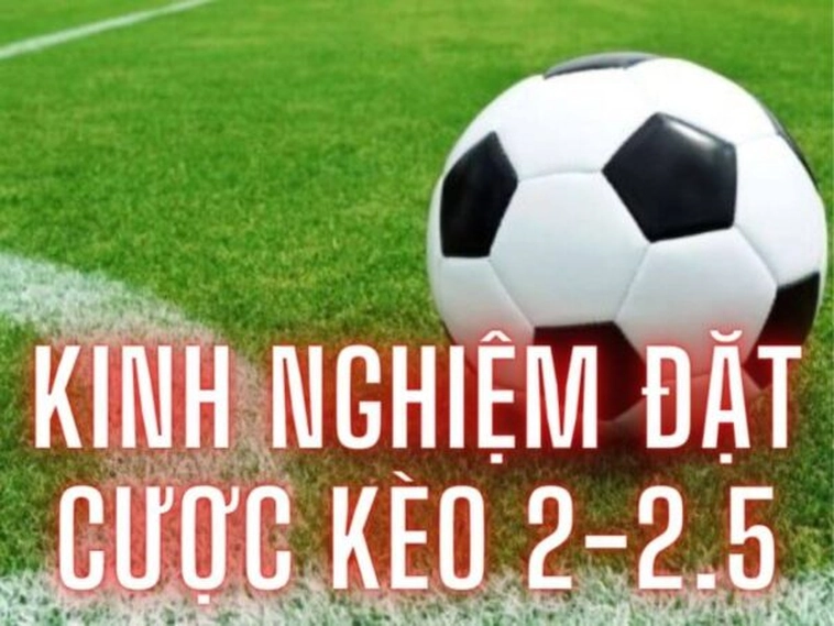 Tuyệt Chiêu Áp Dụng Cách Chơi Kèo 2.25 Tại BongDaLu Đỉnh Cao Nhất