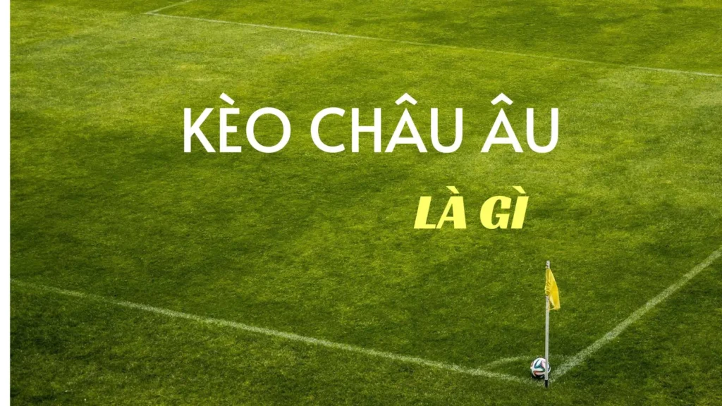 Hướng Dẫn Chi Tiết Cách Chơi Kèo Châu Âu Tại BongDaLu Dễ Hiểu Nhất
