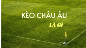 Hướng Dẫn Chi Tiết Cách Chơi Kèo Châu Âu Tại BongDaLu Dễ Hiểu Nhất