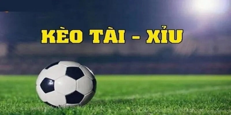 Cách Chơi Kèo Tài Xỉu Tại BongDaLu Cho Người Mới Bắt Đầu