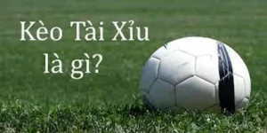 Cách Chơi Kèo Tài Xỉu Tại BongDaLu Cho Người Mới Bắt Đầu