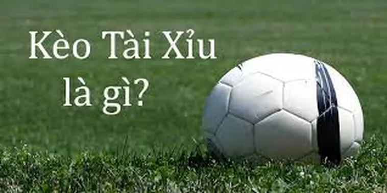 Cách Chơi Kèo Tài Xỉu Tại BongDaLu Cho Người Mới Bắt Đầu
