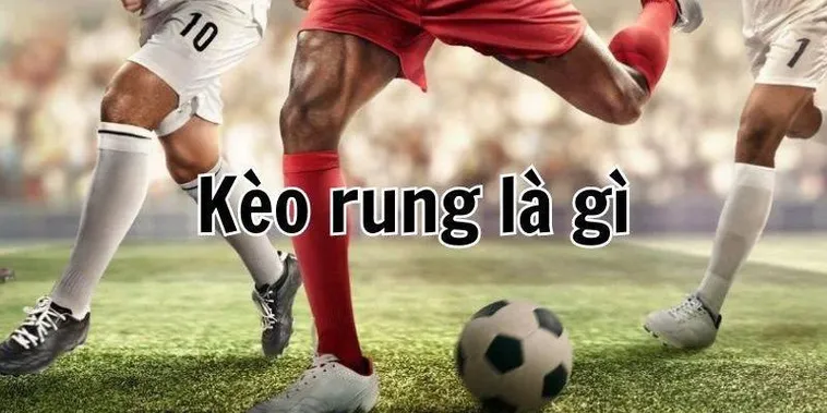 Tuyệt Chiêu Đánh Kèo Rung Bóng Đá BongDaLu Chắc Thắng Cho Cược Thủ
