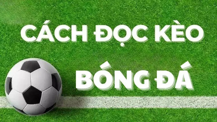 Kèo Châu Âu phản ánh xác suất thắng/hòa/thua thực tế, trong khi kèo Châu Á là công cụ để nhà cái cân bằng lượng tiền cược hai bên.